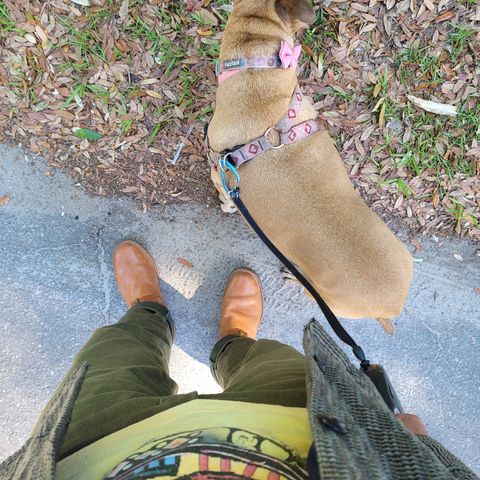 Wesco Mister Lou in Maryam Natural Horsebutt