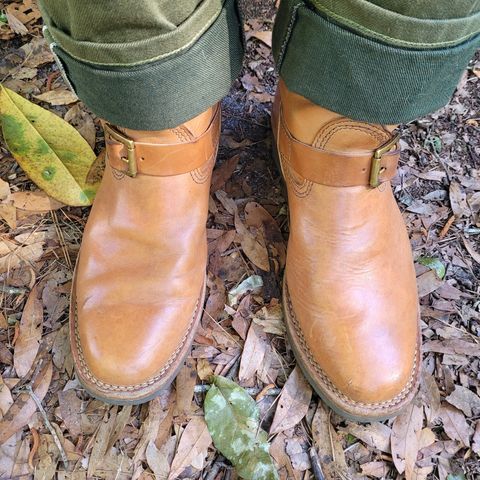 Wesco Mister Lou in Maryam Natural Horsebutt