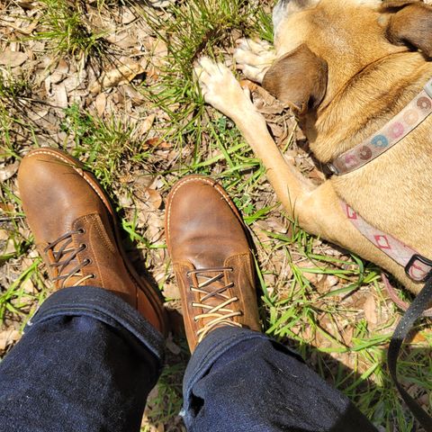 Truman Upland Boot in Gallun Cognac Teton Stag