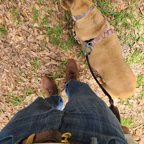 Search result thumbnail of Truman Upland Boot in Gallun Cognac Teton Stag