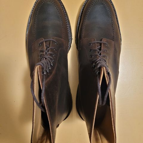 Crockett & Jones Indiana in Dark Brown Roughout Suede