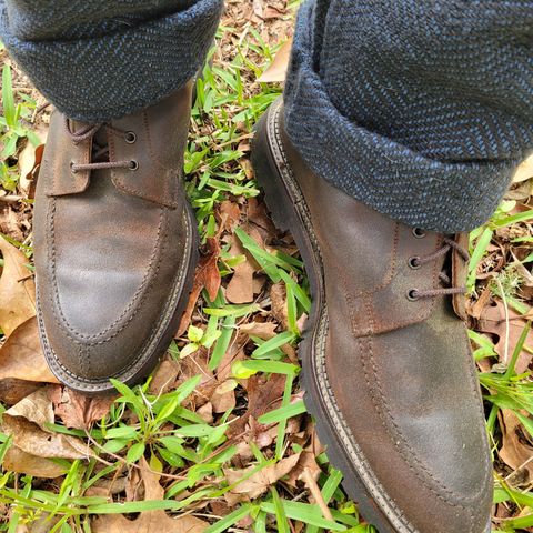 Crockett & Jones Indiana in Dark Brown Roughout Suede