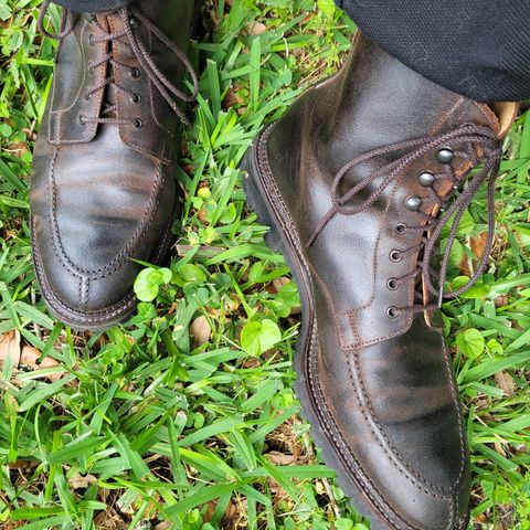 Crockett & Jones Indiana in Dark Brown Roughout Suede
