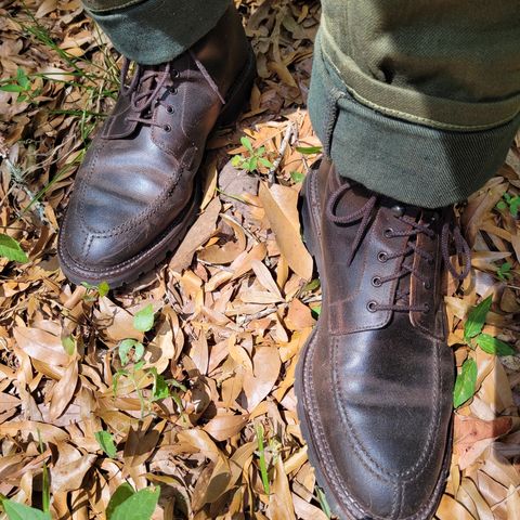 Crockett & Jones Indiana in Dark Brown Roughout Suede