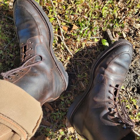 Crockett & Jones Indiana in Dark Brown Roughout Suede
