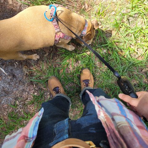Russell Moccasin South 40 Birdshooter in Pecos Gaucho Chamois