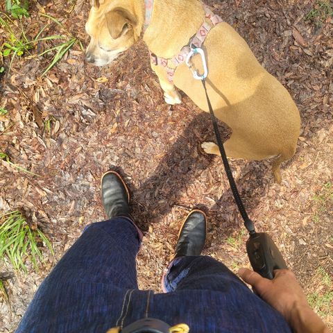 Briselblack The Keeper 'Type 2' Engineer Boot in Shinki Black Teacore Horsehide