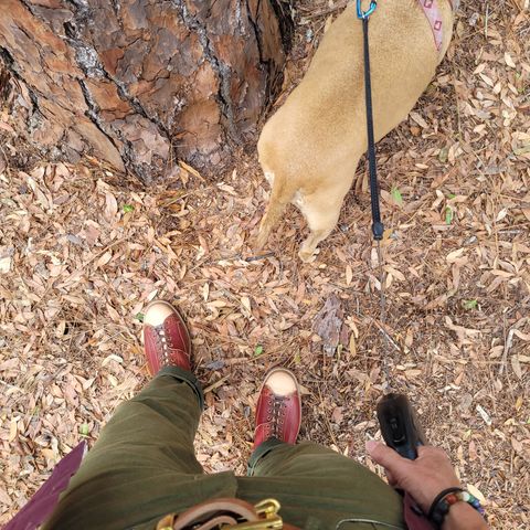 Sagara Cordmaster in Conceria Cloe Natural Horsebutt Overdyed Oxblood & Conceria Cloe Natural Horsebutt