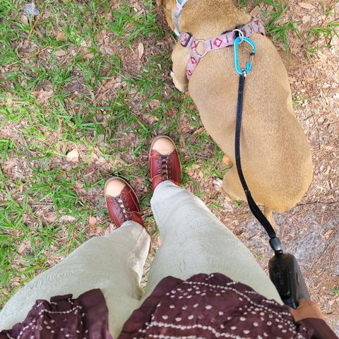 Sagara Cordmaster in Conceria Cloe Natural Horsebutt Overdyed Oxblood & Conceria Cloe Natural Horsebutt
