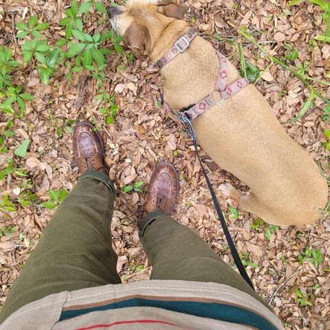 Grant Stone Ottawa Boot in Tumbled Chestnut Ostrich