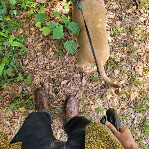 Grant Stone Ottawa Boot in Tumbled Chestnut Ostrich