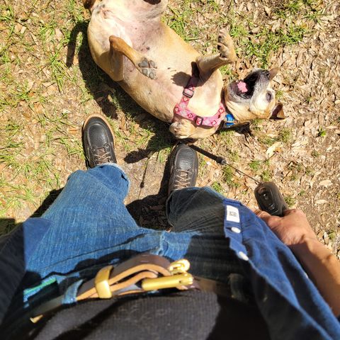 Search result thumbnail of Truman Upland Moc Toe Boot in Law Tanning Black Big Horn Shrunken Bison
