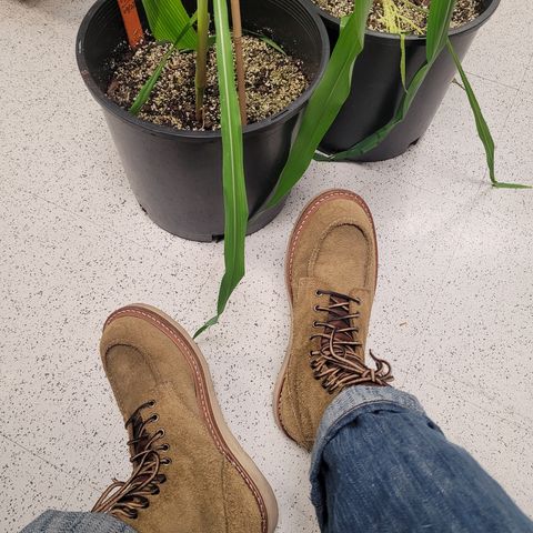 Truman Upland Moc Toe Boot in Tasman Leather Group Coyote Roughout