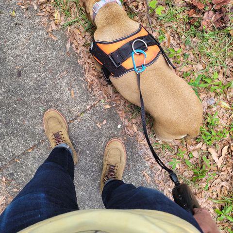 Search result thumbnail of Truman Upland Moc Toe Boot in Tasman Leather Group Coyote Roughout