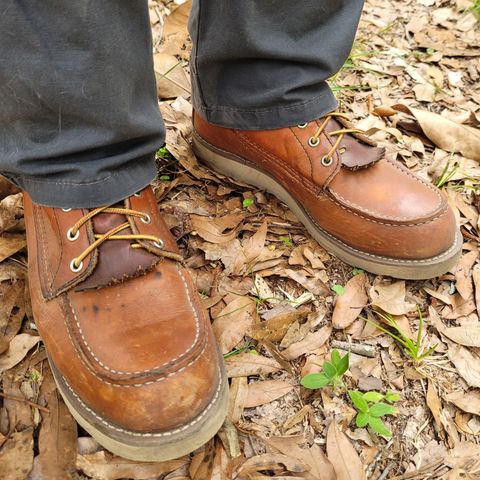 Red Wing 8-Inch Classic Moc in S.B. Foot Oro Legacy
