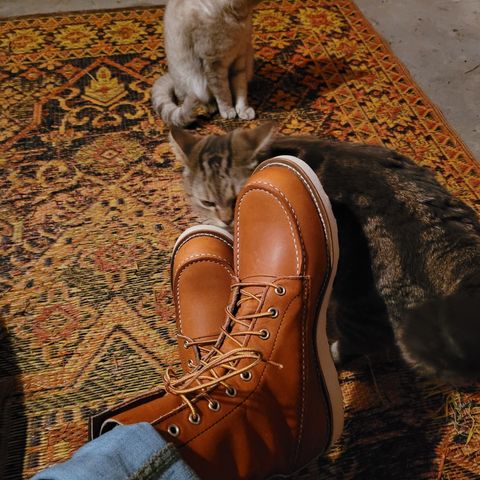 Red Wing 8-Inch Classic Moc in S.B. Foot Oro Legacy