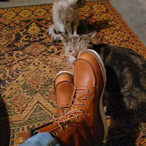Red Wing 8-Inch Classic Moc in S.B. Foot Oro Legacy
