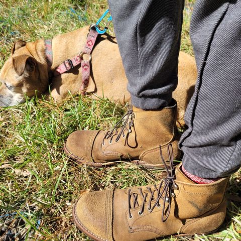Red Wing Iron Ranger in S.B. Foot Hawthorne Muleskinner