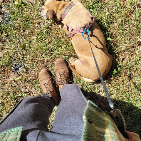 Red Wing Iron Ranger in S.B. Foot Hawthorne Muleskinner