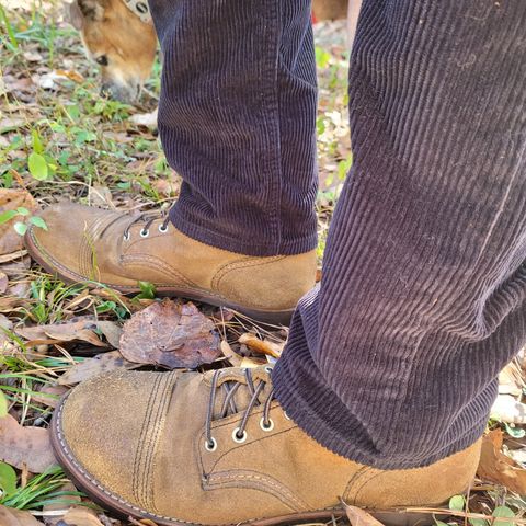 Red Wing Iron Ranger in S.B. Foot Hawthorne Muleskinner