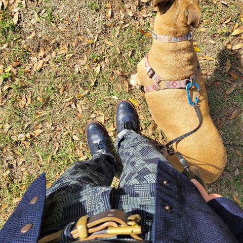 Tricker's Stow Country Boot in Navy Calf