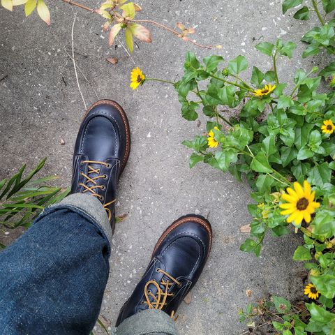 Truman Moc Toe in Seidel Ink Cheaha
