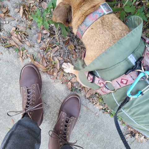 Oldspeed Boondockers in Wickett & Craig Dark Brown English Bridle