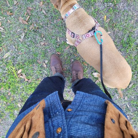 Oldspeed Boondockers in Wickett & Craig Dark Brown English Bridle