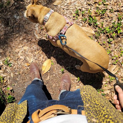Oldspeed Boondockers in Wickett & Craig Dark Brown English Bridle