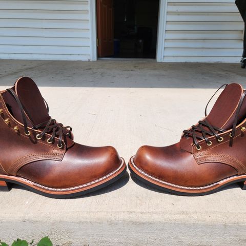 Nicks Prospector in Italian Brown Cypress