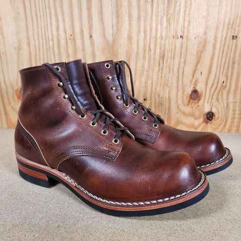 Nicks Prospector in Italian Brown Cypress