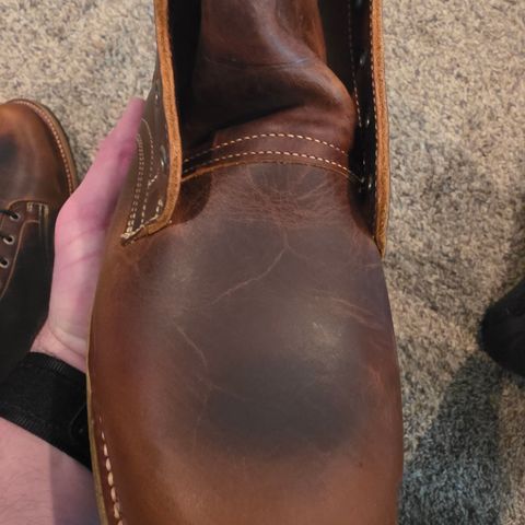 Truman Tobacco Snakebite in Tobacco Snakebite