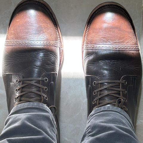 Viberg Service Boot BCT in C.F. Stead Antique Phoenix