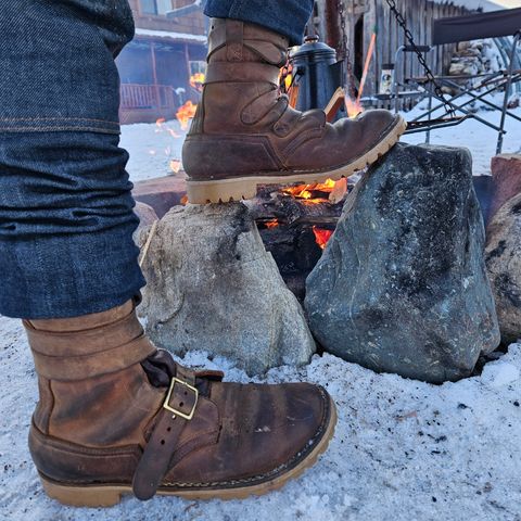 Nicks Nicks / Tactical Tankerpro in Seidel WeatherShield Brown Smooth