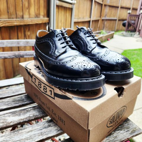 NPS Shoes Brogue Shoe in Black Hi-Shine