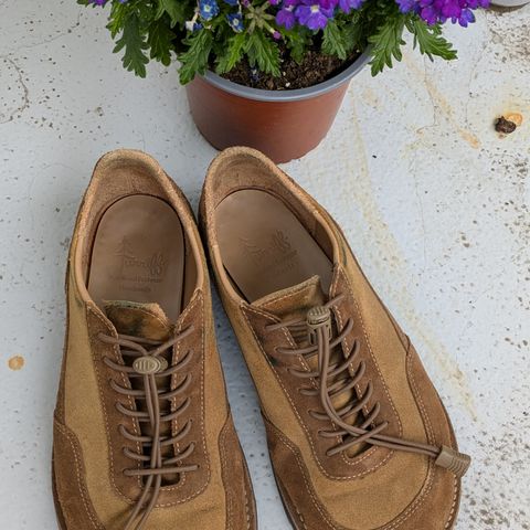 Turriff Functional Footwear C-02 in C.F. Stead Brown Repello Calf Suede