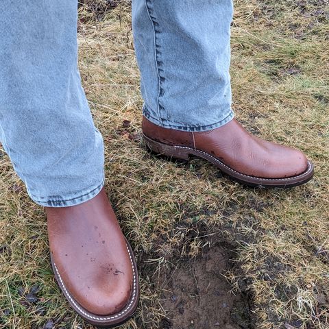 Zerrows Type One in Dark Brown Douglas