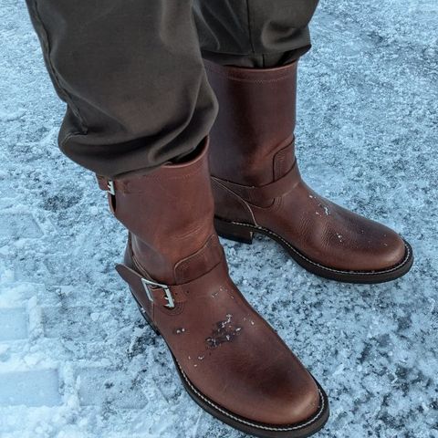 Zerrows Type One in Dark Brown Douglas