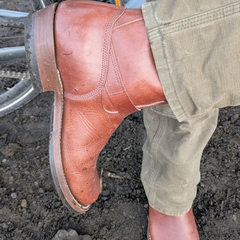 Zerrows Type One in Dark Brown Douglas