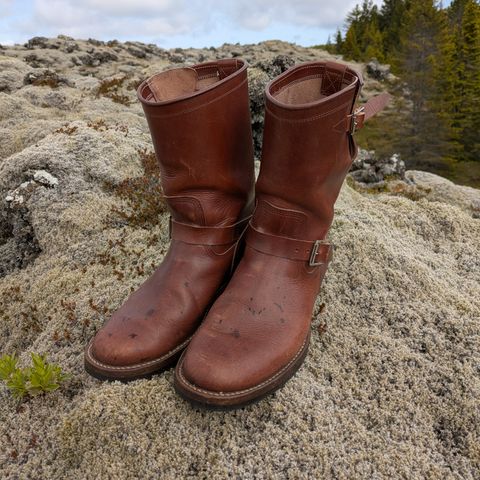 Zerrows Type One in Dark Brown Douglas