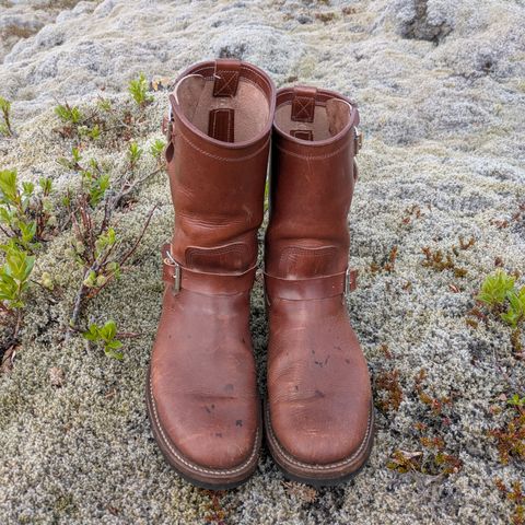 Zerrows Type One in Dark Brown Douglas