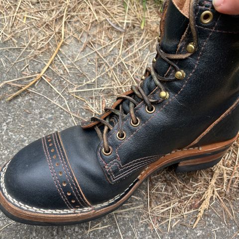 Wesco Warren Boot in Horween Navy Waxed Flesh