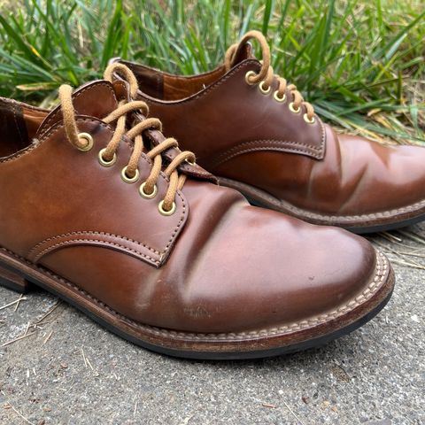 Truman Derby in Horween Unglazed Natural Shell Cordovan