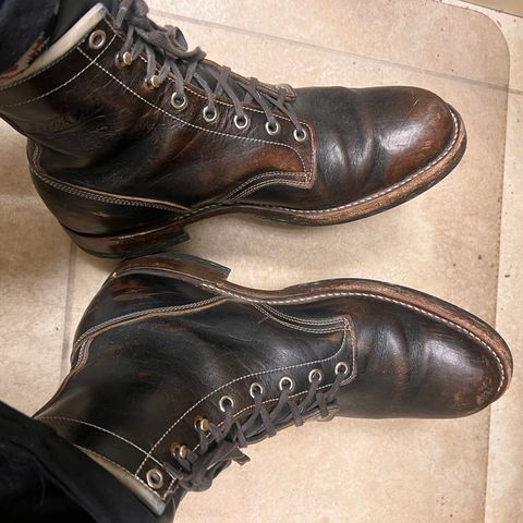 Role Club Underdogs in Shinki Hand-Finished Black Horsehide