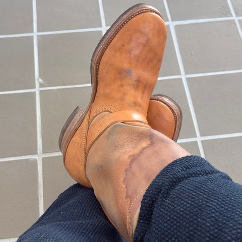 Unsung House Desert Fever Dream in Maryam Toscanello Rovescio Sego Horsebutt