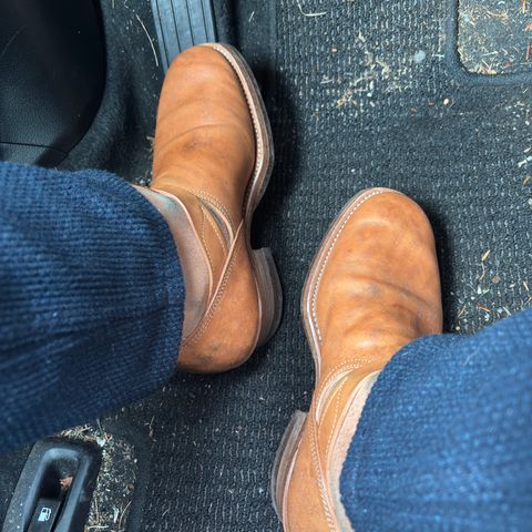 Unsung House Desert Fever Dream in Maryam Toscanello Rovescio Sego Horsebutt