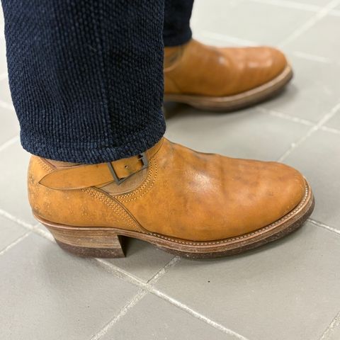 Unsung House Desert Fever Dream in Maryam Toscanello Rovescio Sego Horsebutt