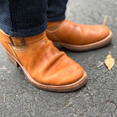 Unsung House Desert Fever Dream in Maryam Toscanello Rovescio Sego Horsebutt