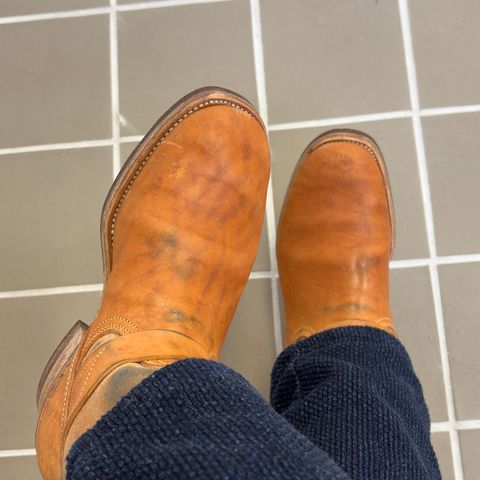 Unsung House Desert Fever Dream in Maryam Toscanello Rovescio Sego Horsebutt