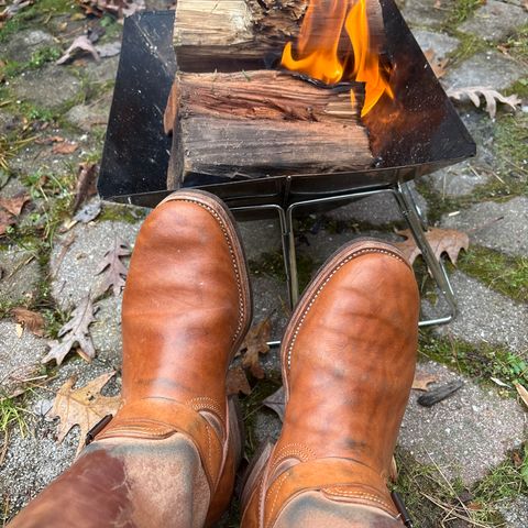 Unsung House Desert Fever Dream in Maryam Toscanello Rovescio Sego Horsebutt